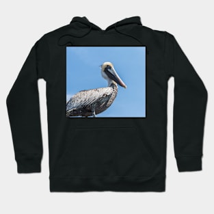 powerful pelican Hoodie